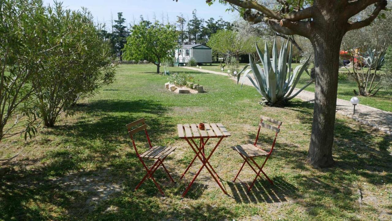 Апартаменты Mas Maurane - Les Lavandes Aux Portes D'Arles Тараскон Экстерьер фото